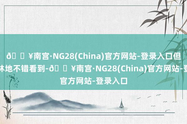 🔥南宫·NG28(China)官方网站-登录入口但是走进林地不错看到-🔥南宫·NG28(China)官方网站-登录入口